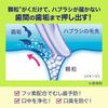 Clear Clean Toothpaste Natural Mint 170g X 3 + Toothpaste Powder [Quasi-drug] Toothpaste