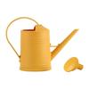 Watering Can Decorative with Detachable Spray Head Long Nozzle for Household