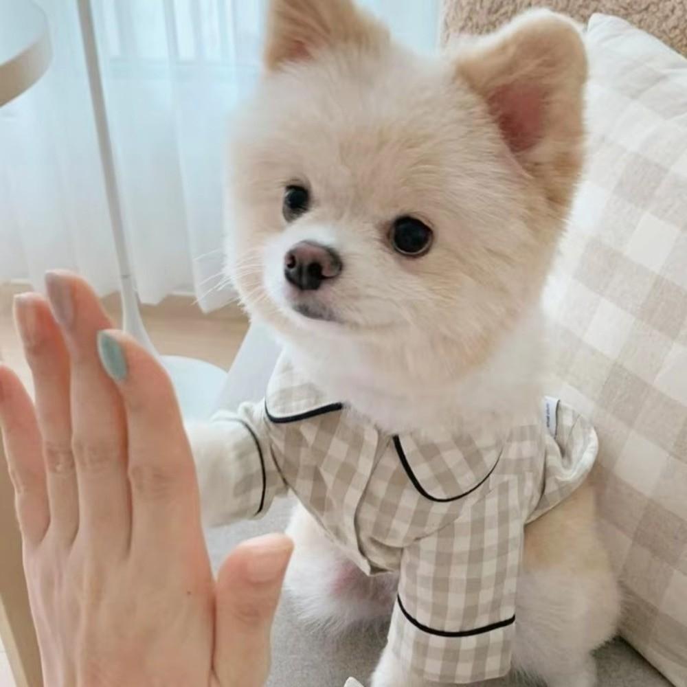 New Soft Warm Cat Dog Pajamas Cute Pet Jacket Pet Household Clothes Plaid Shirt Chihuahua Poodle Clothes Puppy Shirt Coat