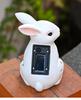Easter Solar Lighted Bunny with Hollow Details for Lawn Garden Decoration Weather Resistant Resin Rabbit Ornament White