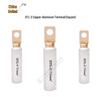 DTL-2 Square Copper Aluminum Pin Terminal Tin-Plated Connector Lug