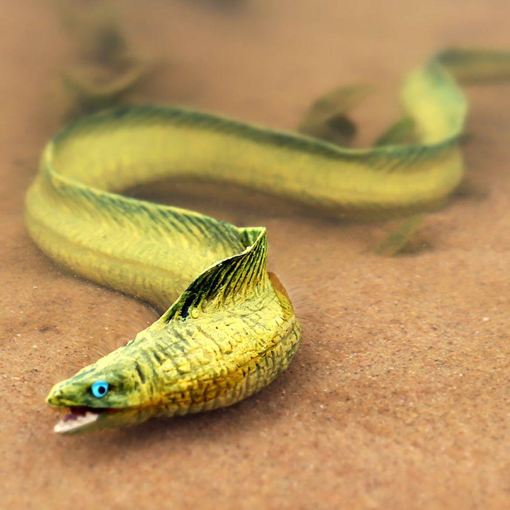 Toy Early Learning Marine Organism Electric Eel Figurines Moray Eel Model Simulation Sealife