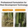 1/2/3Pcs Fast Rooting Stimulator,Root Stimulator for Plants,Plant Root Nutrient Supplement for Gardening Supplies