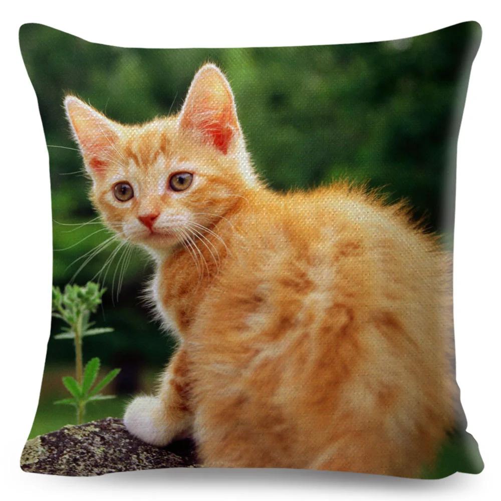 

Забавная Милая Кошка Наволочка Декор Прекрасный Питомец Животное Принт Наволочка Полиэстер Наволочка для Дивана Дома Автомобиля 45x45см 12x12Inch