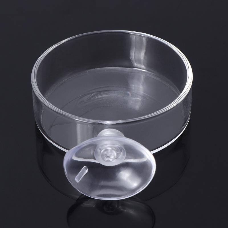  Shrimp Feeding Dish with Sucker Glass Bowls Round Tray Aquarium Fish Feeder