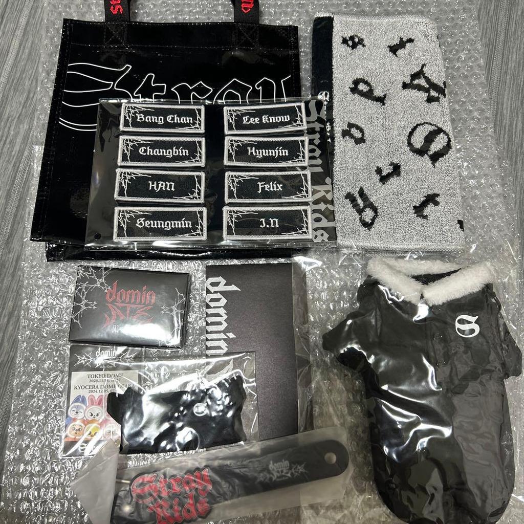 [USED] Stray Kids Han Fan Upgrade Bonus