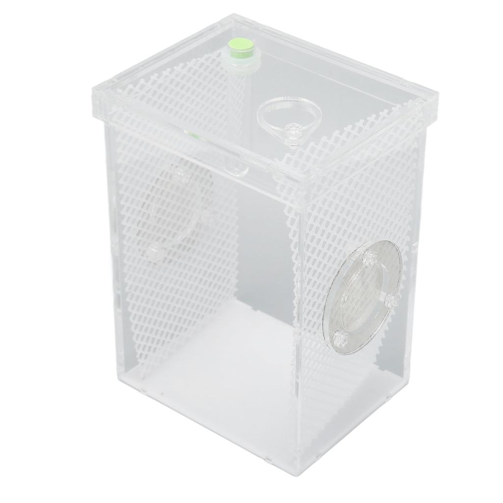 Reptile Insect Enclosure Tank Mini Acrylic High Transparency Moisturizing Reptile Insect Breeding