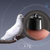 Mini-GPS-Tracker für Haustiere, Vögel, Tauben, Wasserdichte Echtzeit-Standortverfolgung, Anti-Verlust-Gerät mit Geofencing für Hunde, Katzen