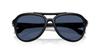 Sunglasses 0HC8406U BLACK 55 [Coach]