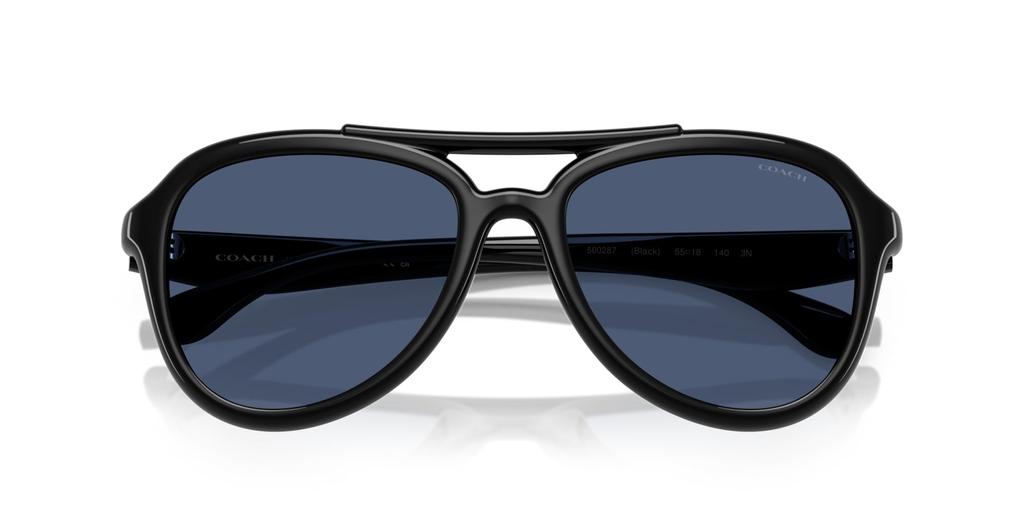 Sunglasses 0HC8406U BLACK 55 [Coach]