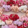 Decoração de casa – Flores e coroas artificiais