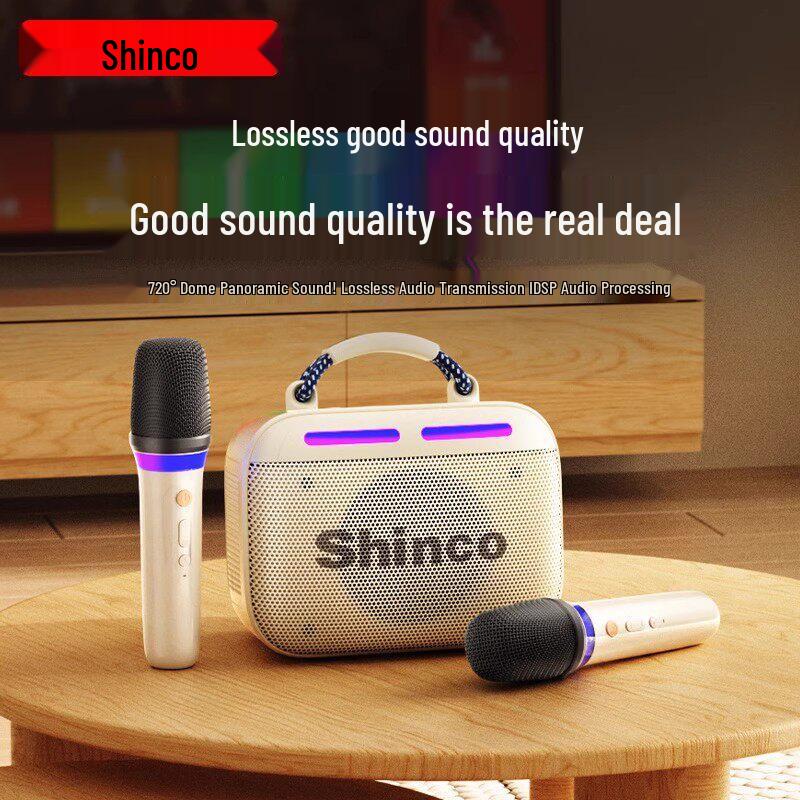 Universal Dual UHF Wireless Handheld Microphone for Professional Home, KTV, and Outdoor Sound Systems