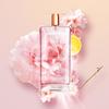 Profumeria – Profumi