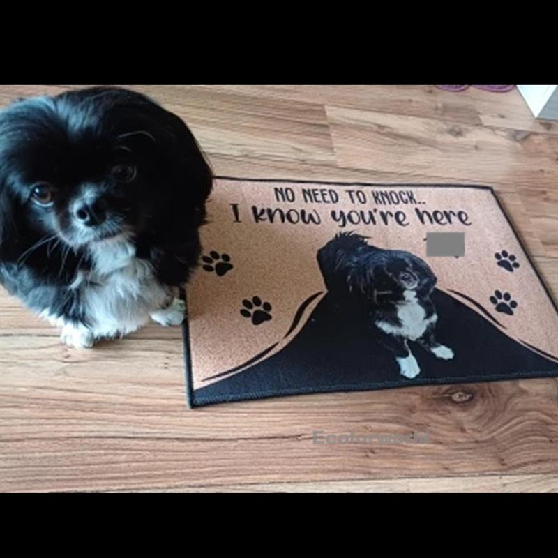 

Personalized Dog Welcome Mat Custom Doormat With Pet s Photo Name Hallway Doorway Floor Mats Carpet Home Decor Accessory 40cmx60cm