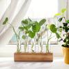 Wooden Frame Hydroponic Glass Test Tube Bottle Hydroponic Green Plant Container Test Tube Flower Vase Hydroponic Flower Vase