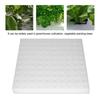 100 Pieces White Seedling Sponge Soilless Hydroponic Vegetables Cultivation Plant Nursery Pots Seedlings Cloning Collar Garden