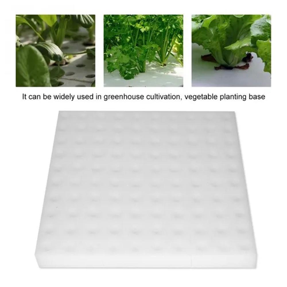100 Pieces White Seedling Sponge Soilless Hydroponic Vegetables Cultivation Plant Nursery Pots Seedlings Cloning Collar Garden