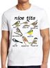 Pěkný Pták Ptáci Hodinky Bažina Modrochocholatý Vrba Vtipný Dárek Tričko T Shirt M776