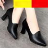 New Style Shoes, Leather Shoes, Middle-aged Shoes, Chunk-heeled Shoes, Single Shoes for Women