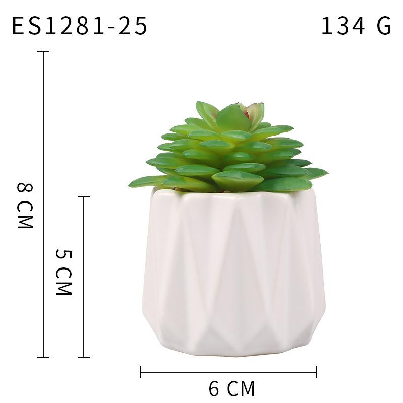 Small, Wavy Cup-Shaped Simulated Succulent Plant Potted Plant, Nordic Office Furniture Fresh Decoration