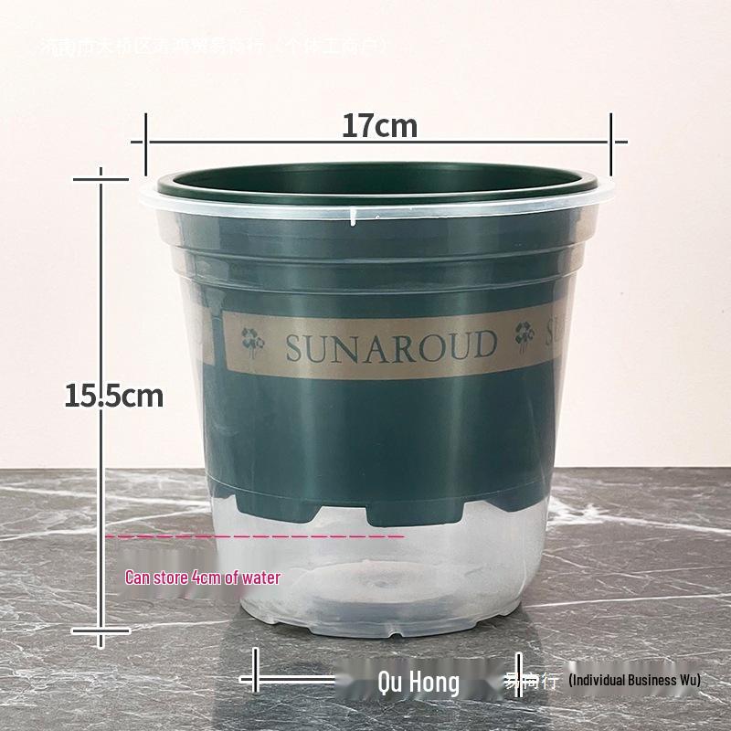 Pothos Transparent Self-Watering Anti-Root Rot Hydroponic Pot