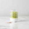 Portable Bean Sprout Growing Tray  Crop Container Space Saving Sprouter Plant Sprouting System for Countertop Use