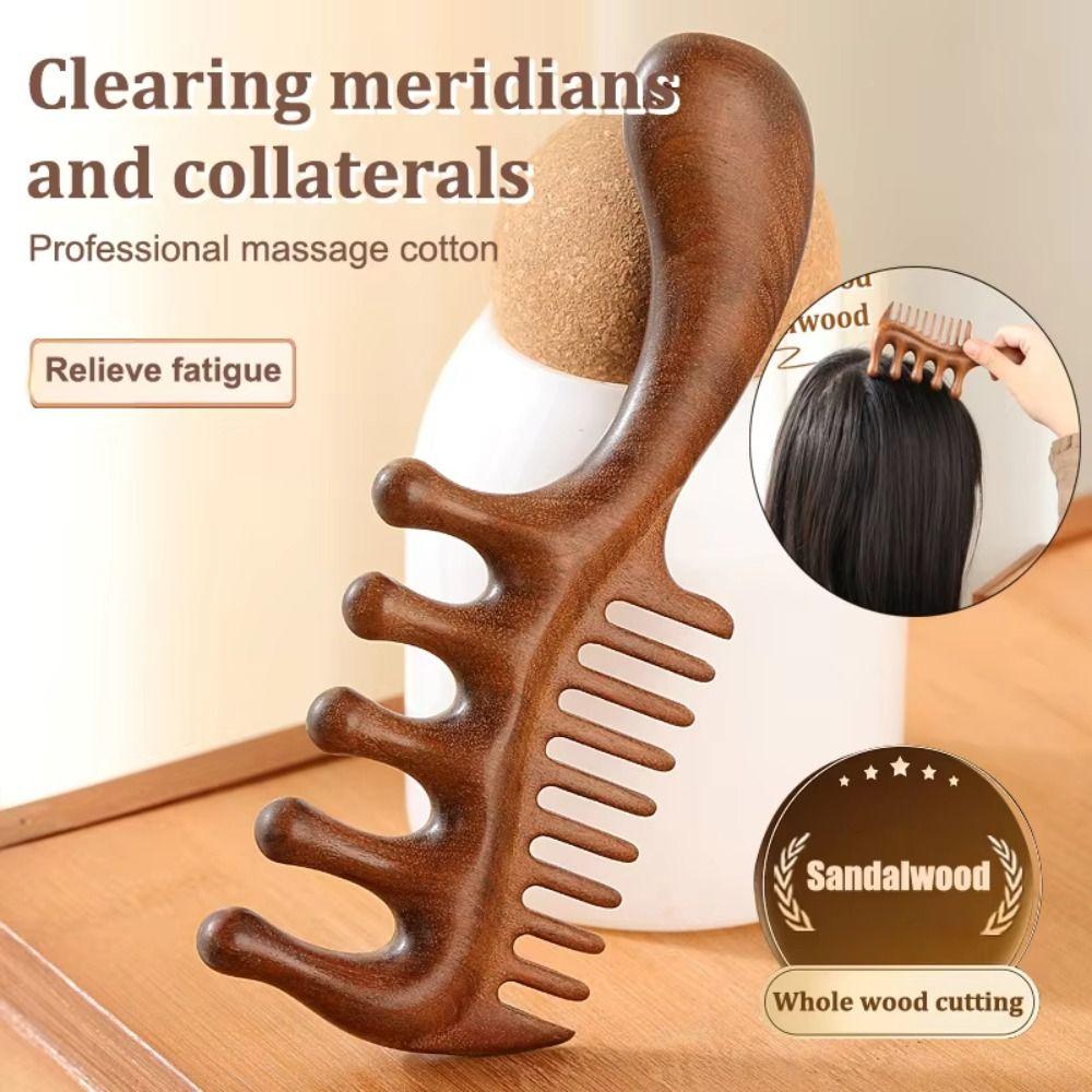 Wide Thick Scalp Massage Comb 2 in 1 Natural Sandalwood Hairbrush  Meridian Dredging