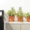 Vine Pillar Multifunctional Metal Stand Frame Flower Climbing Holder Planting Rack Indoor Trellis