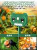 Latest Cat ZOUXO Ultrasonic Cat Popular Animal Highly Dog and Bird Powerful LED Infrared Dual Ultrasonic Solar Long Standby IP65 Waterproof and 12m