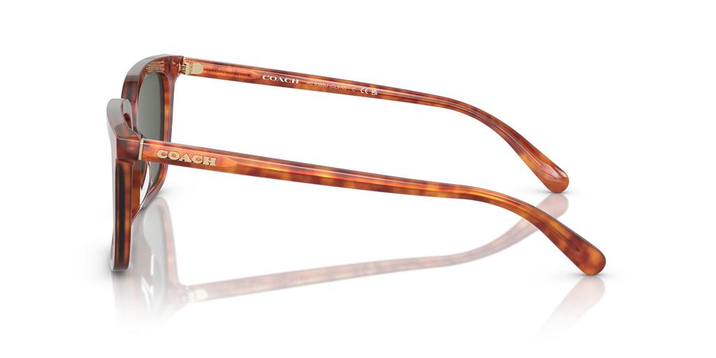 Coach Sunglasses HC8385U CL910 CARAMEL TORTOISE 54