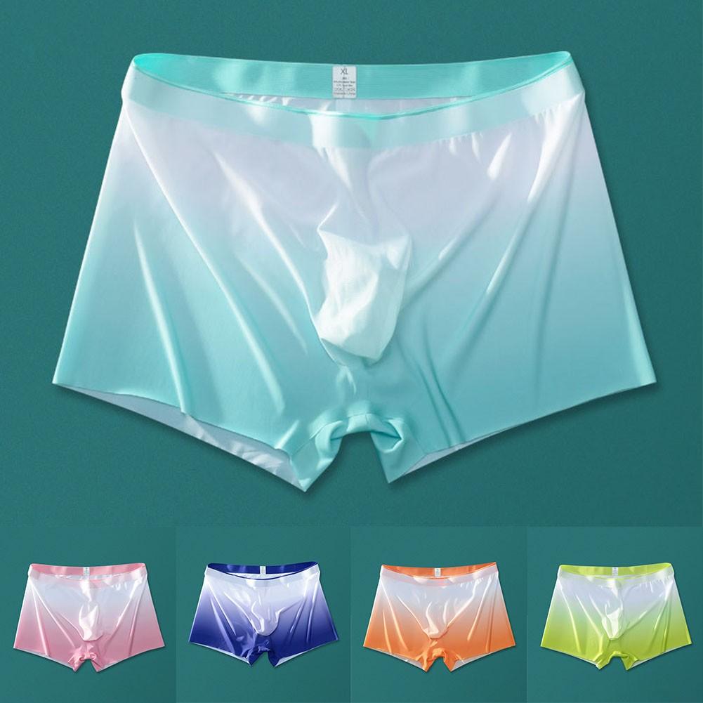 Lightweight Underwear Sexy Sheer Soft Boxer Briefs
