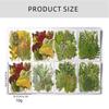 35Pcs Dried Leaves For Bookmarks Jewelry Making Natural Pressed Dried Leaves Plant for Handmade Art Craft 6XDE
