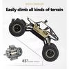 1:16 RC Car 20KM/H 4WD Remote Control Vehicle 2.4Ghz Monster Truck Buggy Off-Road Toys