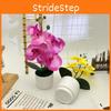 Potted Artificial Phalaenopsis Plant Silk Fabric Material Props Photography