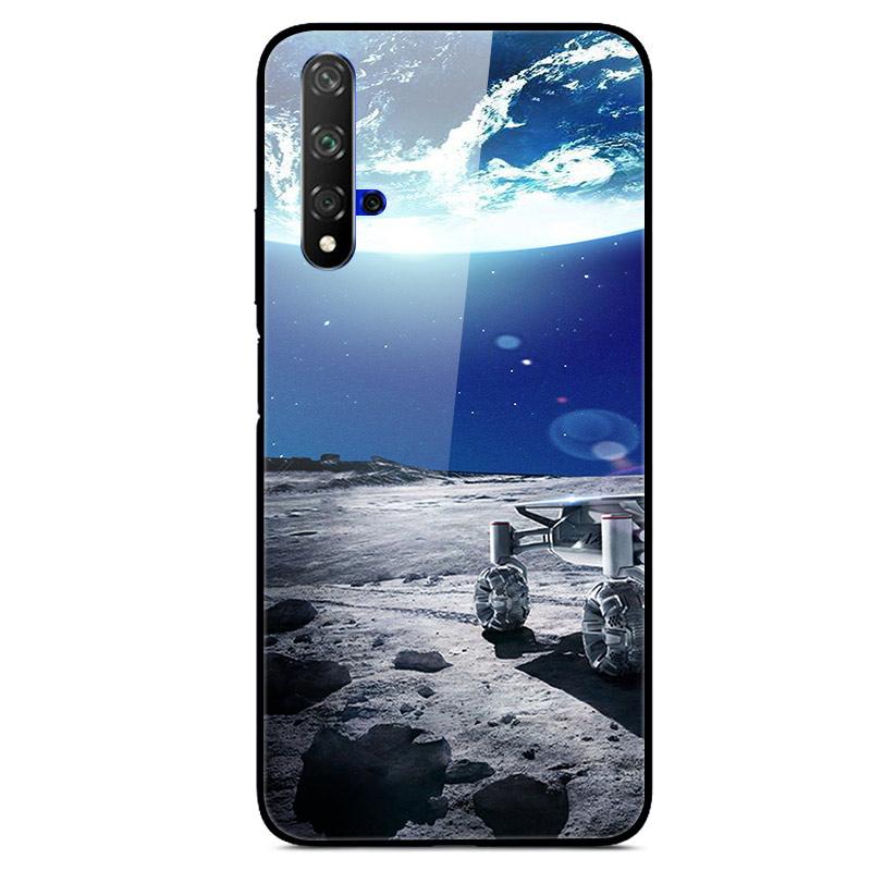 For Huawei Nova 5T Case Tempered Glass Cover 3D Cat Printing Case For Huawei Nova 5T 2019 5 T Phone Case For Huawei Nova5T Cover