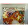 Used [Price Reduced] Charizard VMAX PSA10