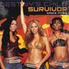12inch Record DESTINY'S CHILD - Survivor Dance Mixes 4479566 COLUMBIA 2001 US Dance & Electronica Used
