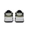 Nike Dunk Radical Odporne na ścieranie Odporne na ścieranie Niskie Buty do skateboardingu Unisex Białe Zielone DD1391-100(Zespół 202-)