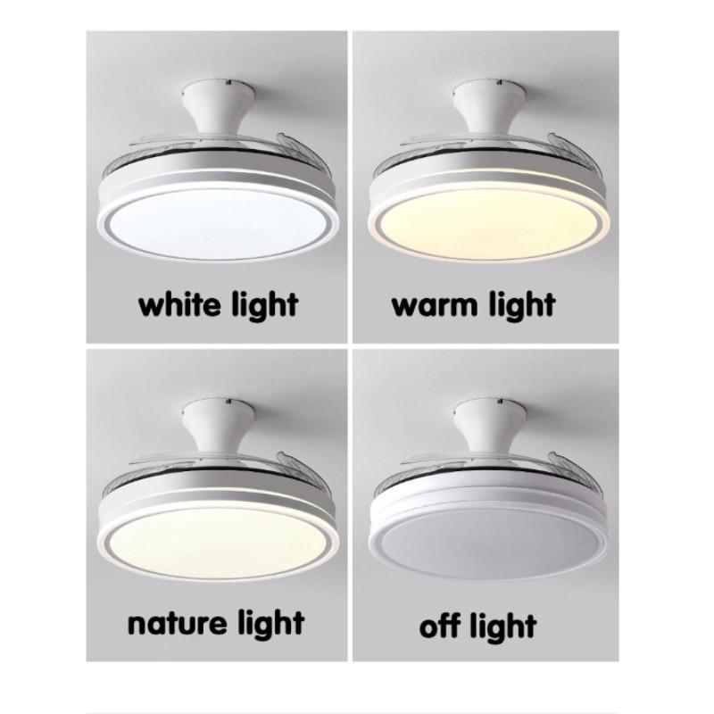 Indoor LED Lighting Fan Household 3 Colors Dimming Ceiling Fan Lamp DC Motor 36"42"48" Electric Ceiling Fan Light