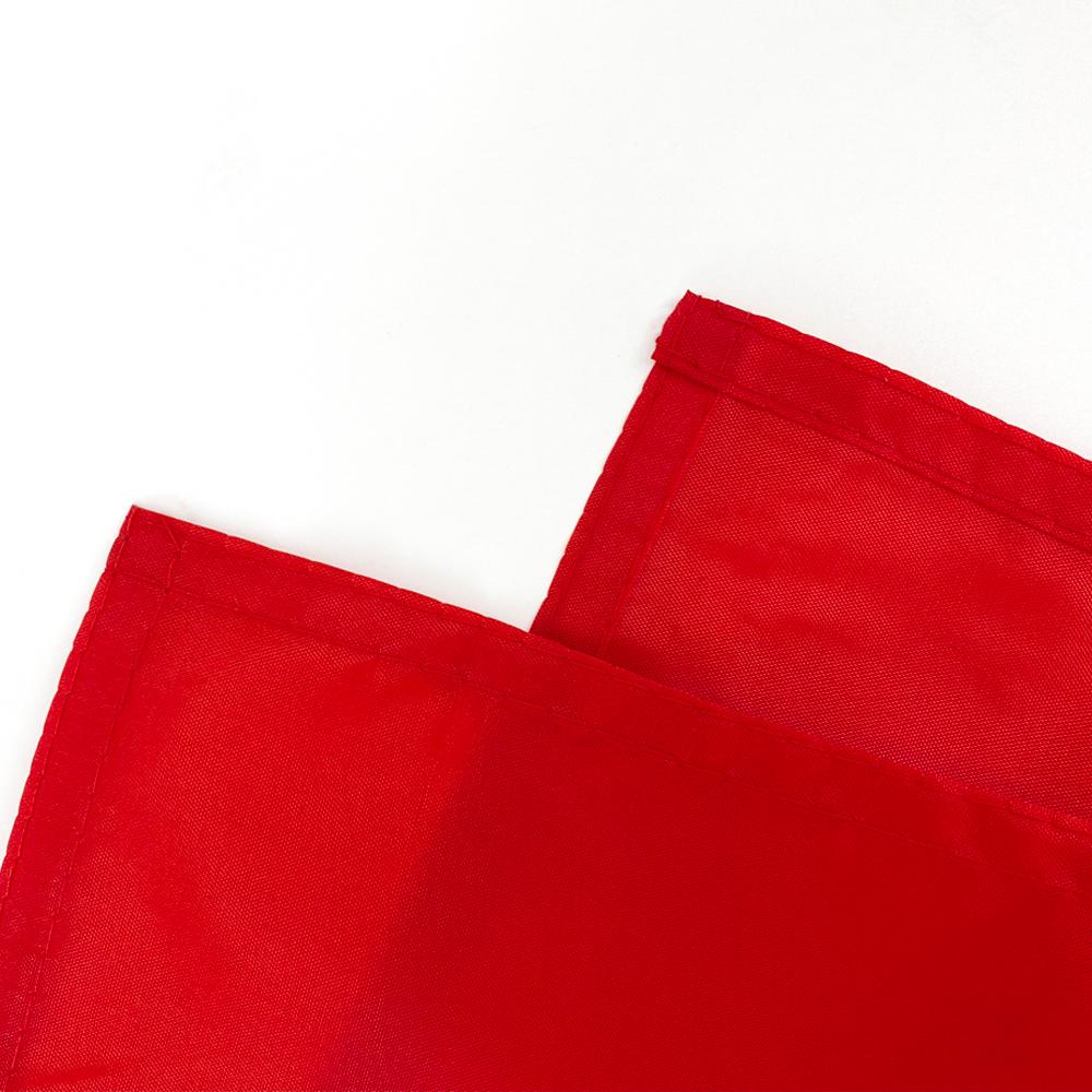 FLAGoal 3x5FT Norwegen Flagge Rot Weiß Blau Farbe Lebendig Nicht verblassend Qualitätsmaterial Außen Innen Nutzung