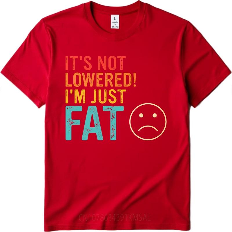 

Unisex Brand tshirt Comfort Unisex Summer tshirt Its Not Lowered Im Just Fat Short Sleeve New Arrived Round Neck Teenagers Tees 4XL