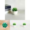 Simulated Succulent Bonsai Pot With Lightweight Pvc For Home Office Interior Design