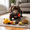 Squeaky Sound Latex Chew Toy Standing Form Dog Training Toy Pet Sound Plaything  Puppy Training