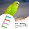 Papageienleiter Holz Nymphensittich Leiter Spielzeug Hochbelastbar Multifunktional Krallen Schärfwerkzeuge Interaktives Käfigzubehör Für
