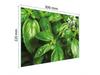 TAGLIERE IN VETRO 30x22 BASILICO