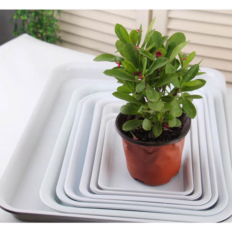 Xiaoyueya White Rectangular Plastic Tray