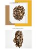 Gold Lion Head Resin Wall Decoration for Outdoor Entrance