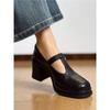 First Layer Leather British Retro T-strap Mary Jane Shoes Women's Thick Heel High Heel Small Leather Shoes Single Shoes