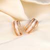 Micro-inlaid zircon vertical strip white fritillary earrings light luxury earrings ear jewelry