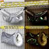 LEFTSTARER Noctilucent Luminous Guinea Pig Rat Hammock Bunkbed Hanging Tunnel and Soft Bed Mat for Ferret Hedgehog Squirrel Hideout Cage Accessories
